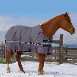 Winter Blanket - 300 Grams Fiberfill