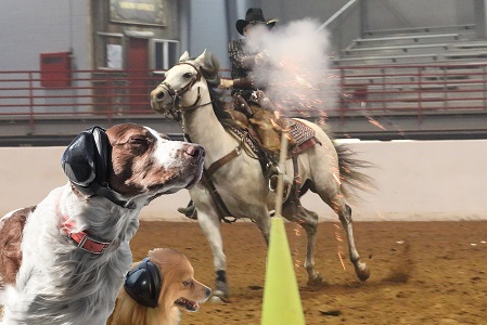 dog shooting ear muffs