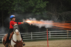 Quiet Ride Mask.    Protection For Your Horse