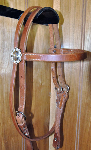 ponybridle2