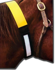 Reflective Horse ID Collar