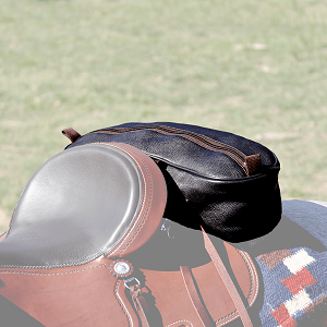 Leather Cantle Bag