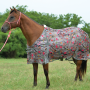 Econo Fly Sheet - Cashel 1