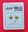 Cavalry Officers Gold Stars