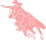 Mounted Shooter, Cowgirl Action Decal - Out of Stock =  Early Sept. 1