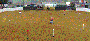 Complete Shooting Stars  Target Bases, Poles & Balloon Pump & Holders & Balloons,  Package  2