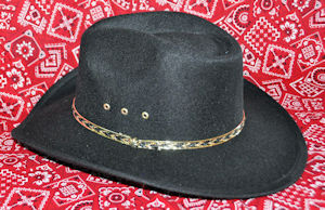 Wrangler Cowboy Hat